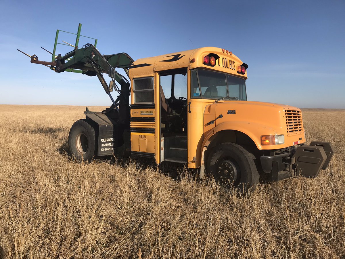 DallasCHenry1's tweet photo. Just hauling goat hay this morning !!
#gothay #loaderbus #couldbedeerhunting https://t.co/F0msQvPchl
