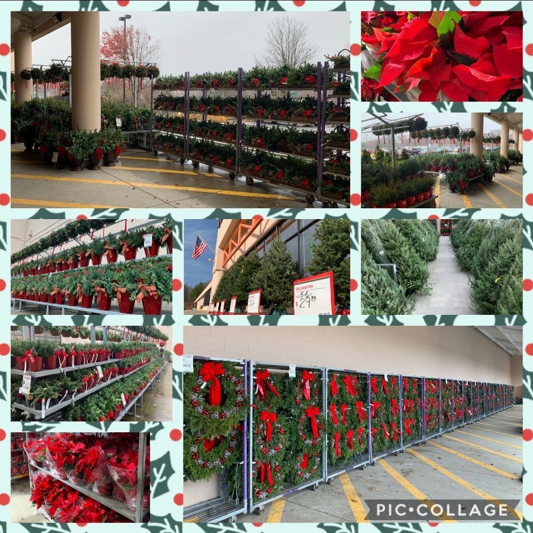 Great weather, great selection - 2663 is ready for the Holidays thanks to our amazing associates and great partnership with our growers!