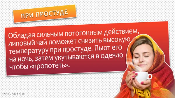 zernomag's tweet photo. Липовый чай поможет облегчить жизнь при простуде https://t.co/lJrtIM2sdF