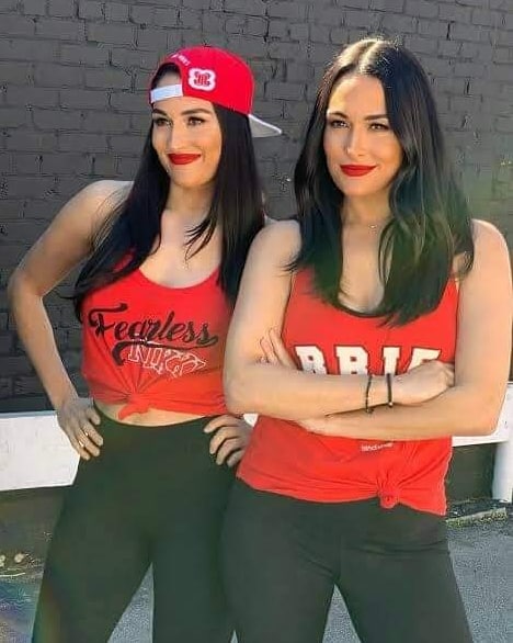 Happy Birthday Brie And Nikki Bella 