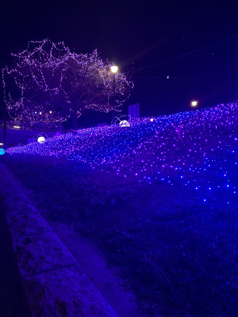 youary2's tweet photo. かたちあるもの
かたちないもの

どっちがどうとか
そういうことより

ただ感じるままに
受けとるままに。 https://t.co/WUJ1AVWdJG
