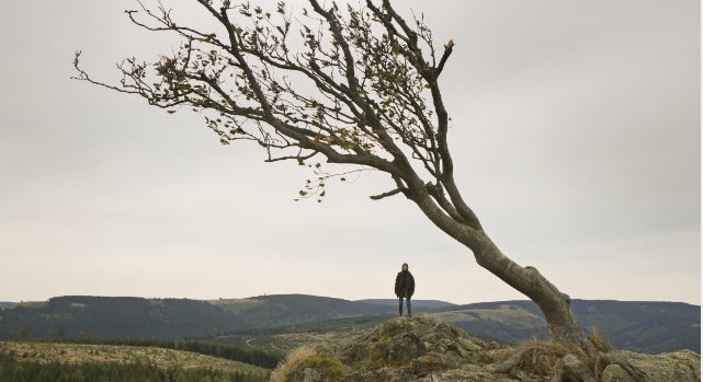 beksinski/ nymphomaniac