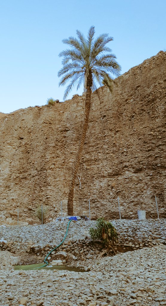 aalhammadi's tweet photo. #لقطات من #وادي_العبادلة الوادي الذي ينبض بالحياة. #هايكنك #hiking https://t.co/SwwRfxadtn