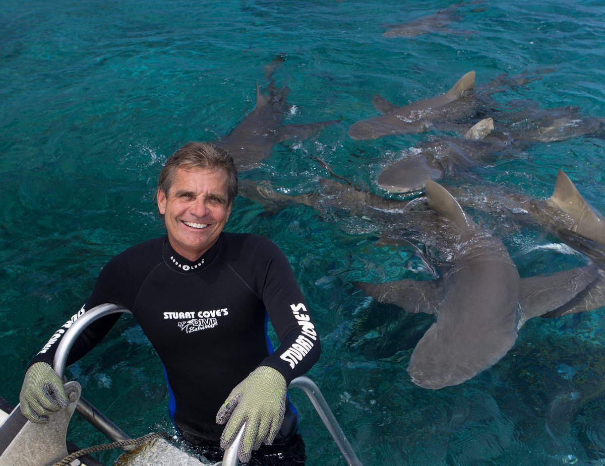 StuartCoveDive's tweet photo. Want to dive with Stuart Cove himself? BOOK NOW for the month of November and let Stuart show you one of the many dive sites he has developed since opening his business in 1979. #divestuartcoves #itsbetterinthebahamas #bucketlist #adventuretravel #sharkdive https://t.co/NdEHY1wC13