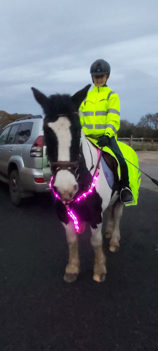 mknowles361's tweet photo. @DunottarSport #virtualfixture
Lois & pony Kerry on an afternoon ride 🐴🐎🐴 https://t.co/SsdiLadIpJ