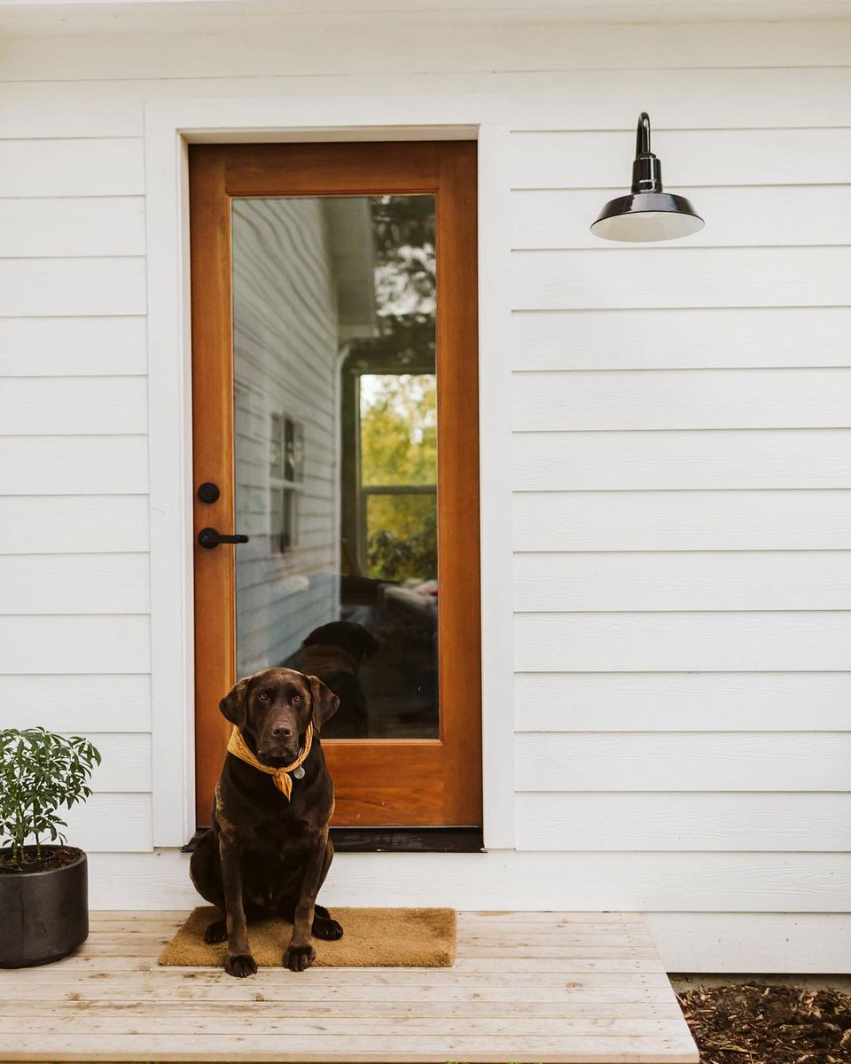 BarnLightAU's tweet photo. Nothing says welcome home quite like friendly faces and great lighting! 💡🐶
#Repost @barnlight
📸 @saraparsons

#barnlight #mybarnlight #barnlightelectric #barnlightau #AustralianMade #lighting #australianmadelighting https://t.co/KpfPdiFKGM