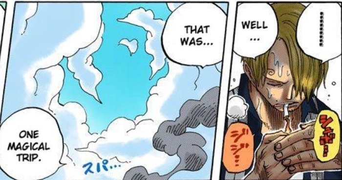 as the strawhats descend the heights of the sky onto their next adventure, sanji remarks that they've just visited a truly magical place, and i could not agree more. (26/26)