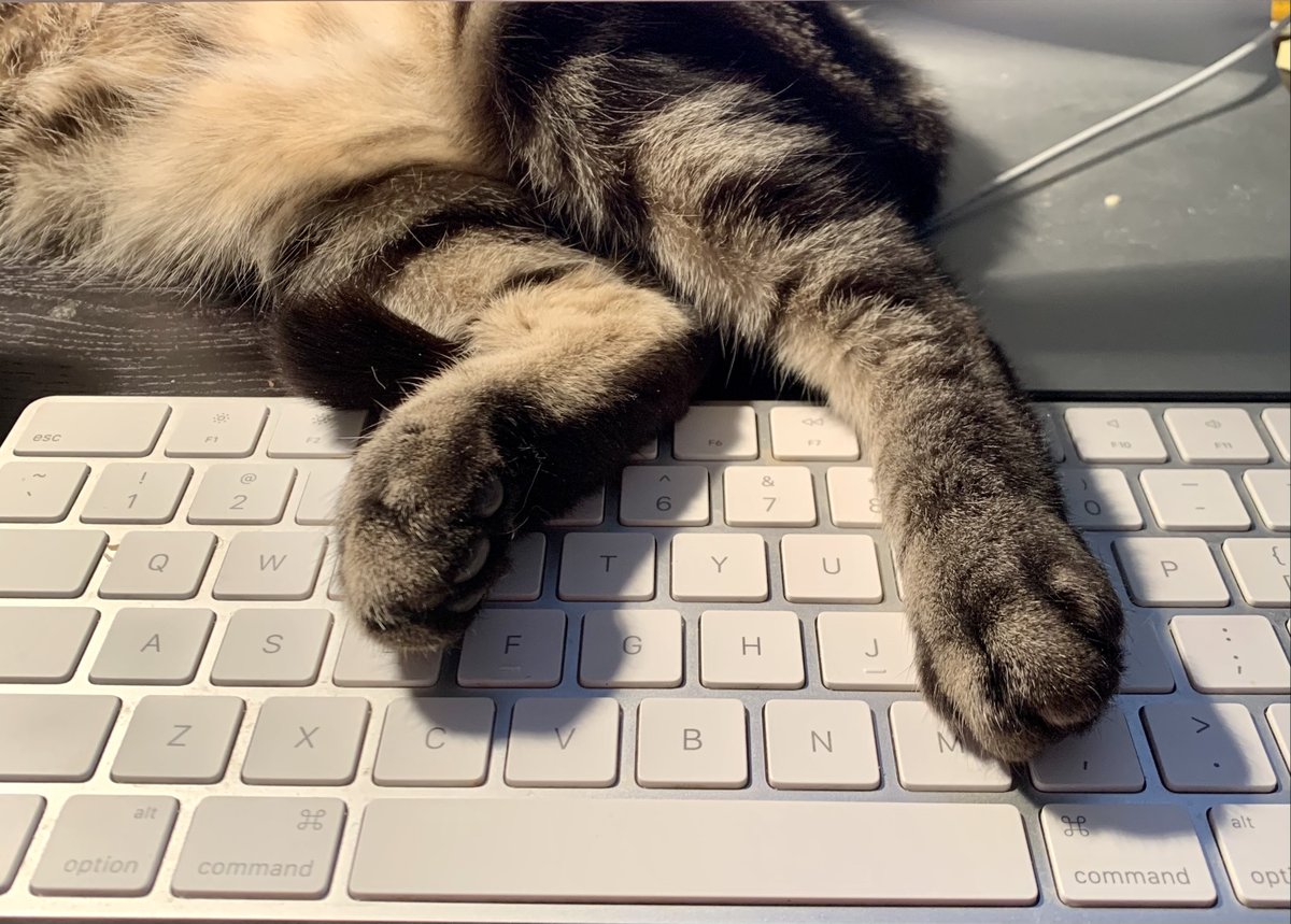 Rona Cherry tweet media