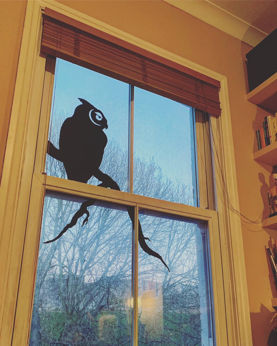 SamJayneGoddard's tweet photo. No windowsill for #YorkLightUpLockdown? No problem. Windows make a great canvas, and plus, theyβre already framed! (Sorry...) Iβve started my winter window designs, crafting with hot cocoa. Updates to follow! #Craft #York #Lockdown #Christmas @yorkcvs @W2WYork @healthwatchyork https://t.co/zAmIi0a4rl