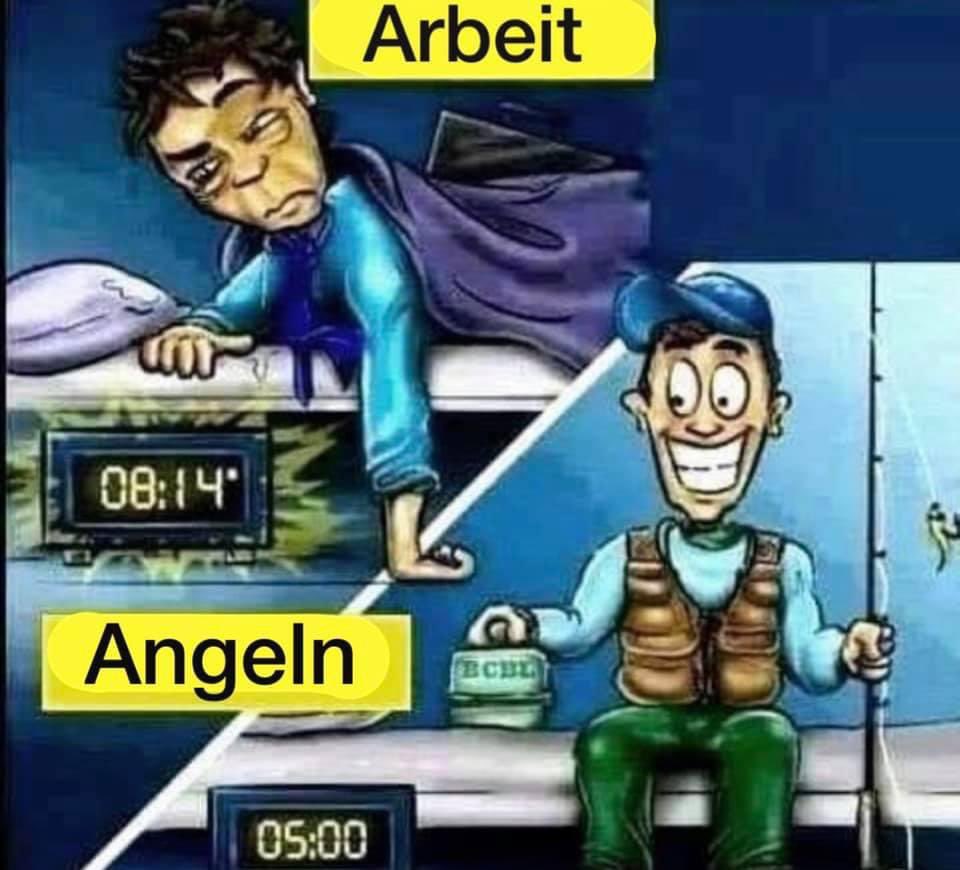 Agi (@karpfenfischen) on Twitter photo 