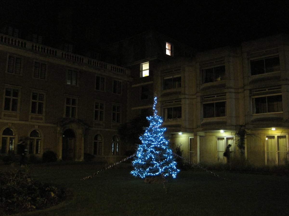 St Peter's: Huh, I wonder why that tree is being held up by ropes- almost as if something happened to it once- wonder wha- PETER'S, NOOOOOOOOO *crash*