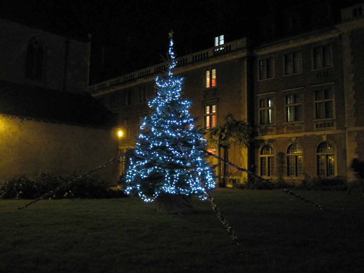 St Peter's: Huh, I wonder why that tree is being held up by ropes- almost as if something happened to it once- wonder wha- PETER'S, NOOOOOOOOO *crash*