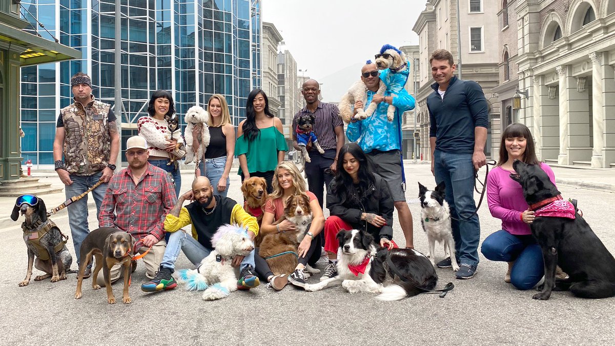 Prime Video tweet media