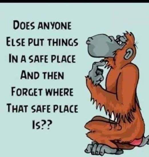 SuzieYMA's tweet photo. ALL THE FLIPPIN TIME! ๐๐๐ #YouMatterAlways #doesanyoneelse #mymemory #poormemory #wheredidIputit #forgetful #itsanagething https://t.co/aNw1f9KTdR