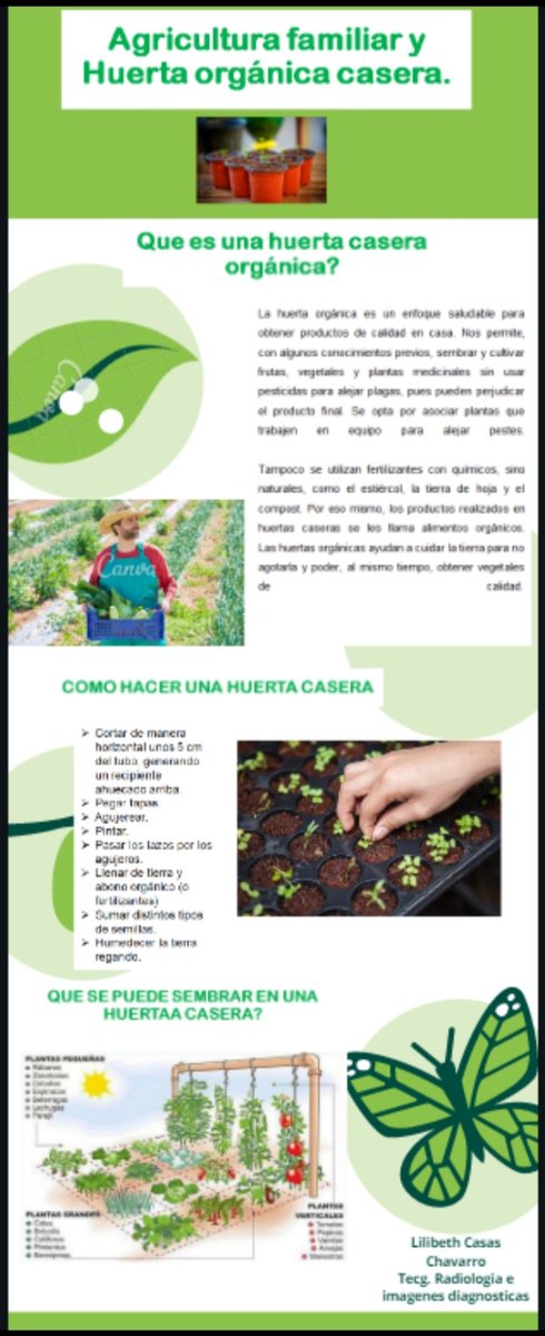 Lilibeth Casas Chavarro tweet media