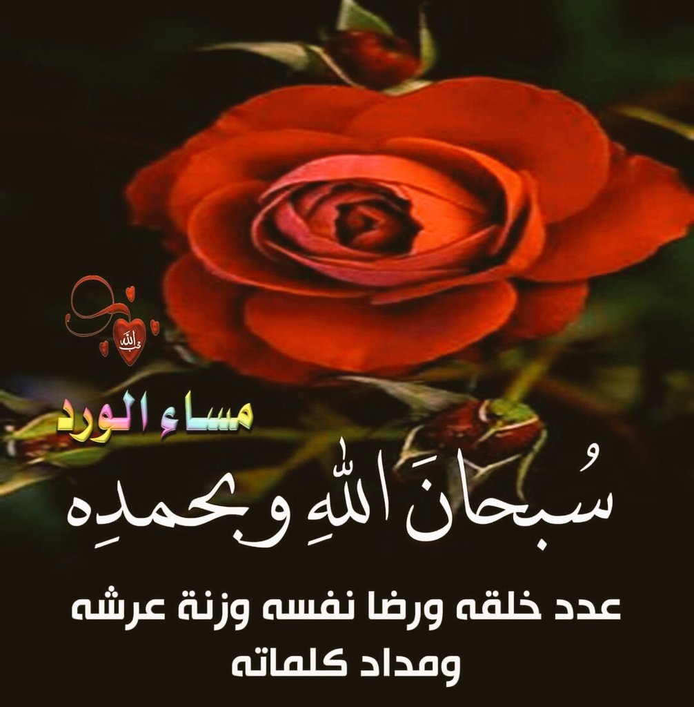 مكتب المحاماه اليمني - عدن (@lawyer_anis3) on Twitter photo 