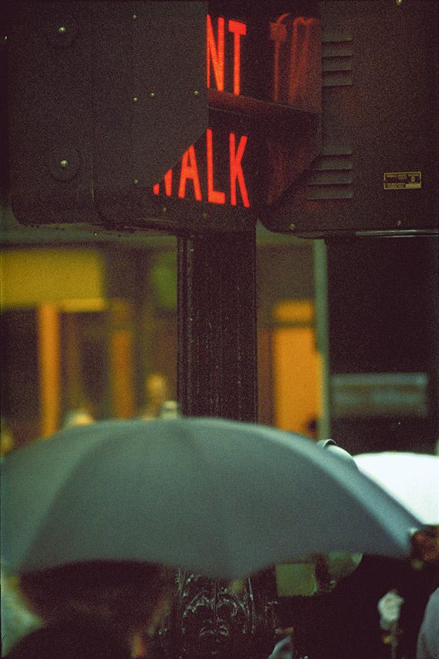 AnneMortier1's tweet photo. "I don't have a philosophy. I have a camera."
Saul Leiter
#photography https://t.co/aL9CyBhUhD