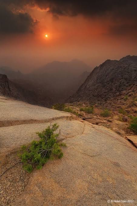 ¡¡La calma en imagen!!
📸Pinterest
#sunset #atardecer #paisaje #landscape #leoEscuchate escuchate.es