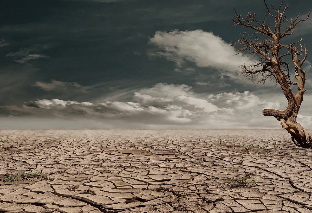 time2_reverse's tweet photo. Tutti chiedono “quando si torna alla normalità”. Questo è quello che ci aspetta alla fine della nostra normalità. Noi la vogliamo più aperta, più sostenibile, più verde. Quando finirà tutto non tornate alla normalità, createne una nuova. 🌱
#time2reverse 👊🏻 https://t.co/EmUz5Qg64Z