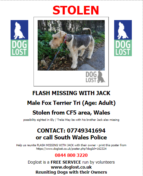 #JACK & #FLASH stolen 11/11/2020 #Wenvoe #CARDIFF #CF5 area #WALES have been seen in #Ely #Trelai  area Plis look out for these two lovely boys. @MissingPetsGB @rosiedoc666 @bs2510 @Lorrain90964806 @LostboxWALES @SouthWestHour @CarolPoyerPeett