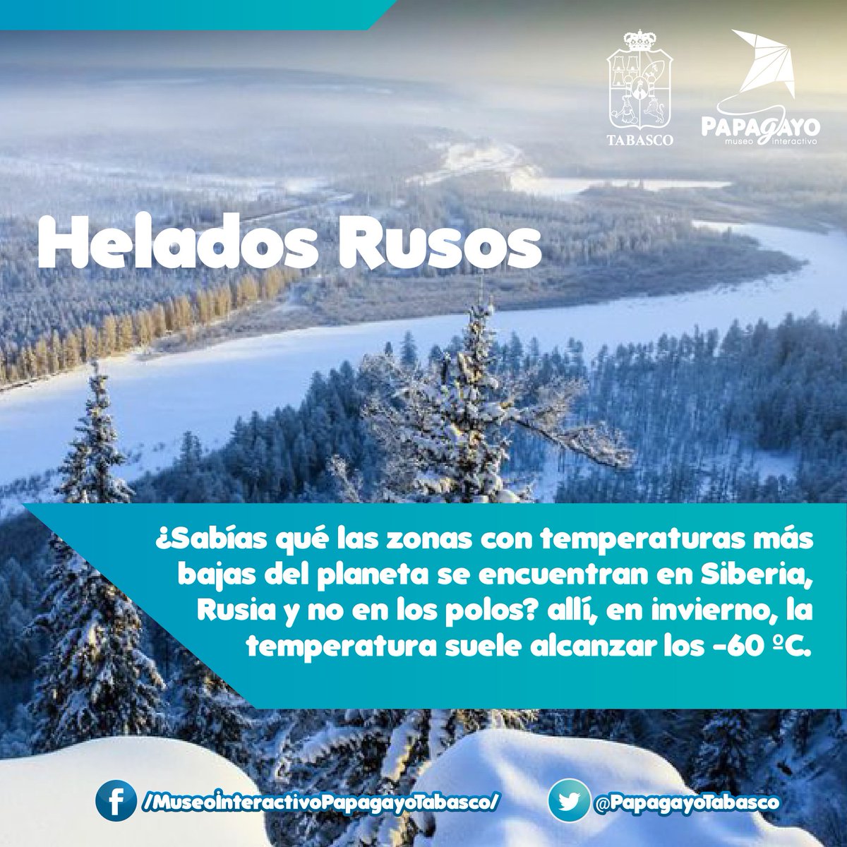 PapagayoTabasco's tweet photo. ¿Sabías qué?
(っ◔◡◔)っ ♥ Te dejamos con el dato curioso del día... ♥
@Gobierno_Tab
@Cultura_Tabasco @ccytet
@AMMCCYT
@SETabasco
@Turismo_Tabasco
@AMHMT
@AmavTabasco
#MuseoInteractivo #Curiosidades #DatosDivertidos #YOconPapagayo https://t.co/mMunUUpUeu