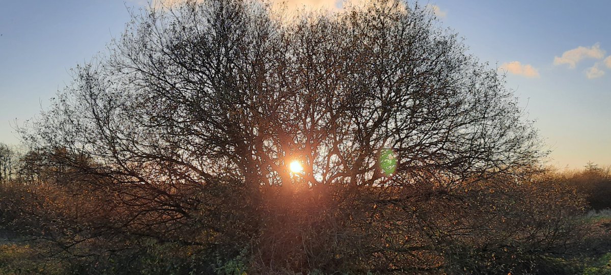 Thought crossed my mind earlier... in just one month from today, the days will begin to lengthen again.
#StayStrong #StaySafe