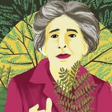 BastadeEcocidio's tweet photo. Fue denominada Ley Yolanda, en homenaje a Yolanda Ortiz, la primera secretaria de Recursos Naturales y Ambiente Humano de Argentina, quien falleció el año pasado. https://t.co/z3IoHT3KDf