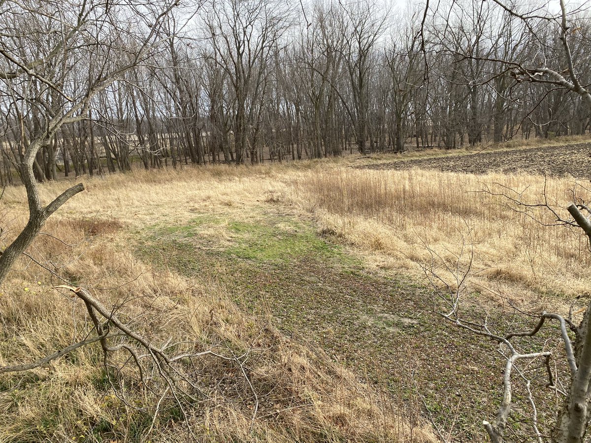 zbaugher's tweet photo. Sure is a beautiful day in the Central IL hardwoods! Have a great day everyone! #hunt20 #blessed #greatoutdoors #theseviews 👌🏼🙌🏼🦌 https://t.co/mbzOBQlycO
