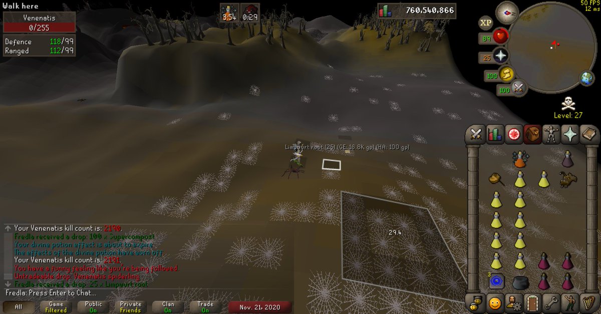 #27 Venenatis spiderling