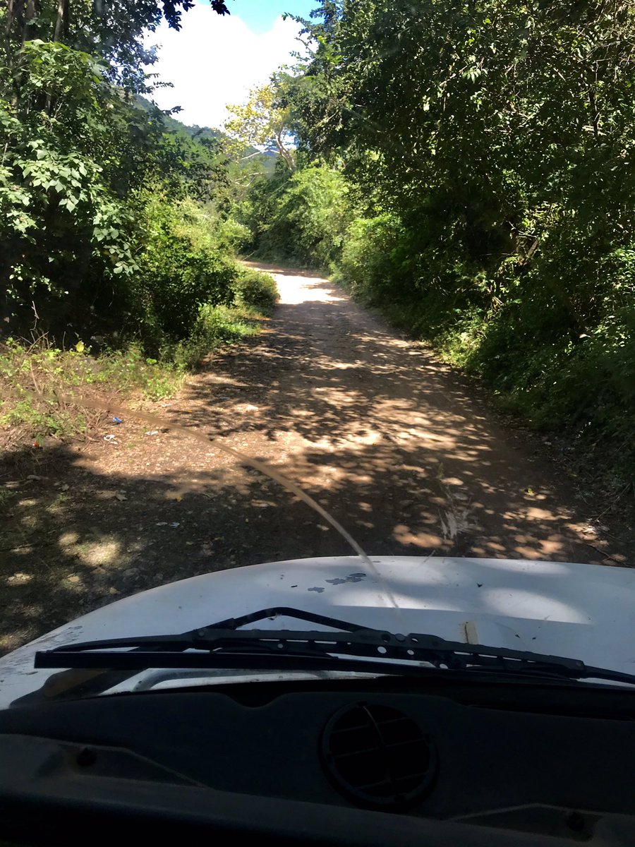 corruptexposer's tweet photo. Wilderness kind of a day. #Honduras #UGOM https://t.co/Ck8UhrY24K