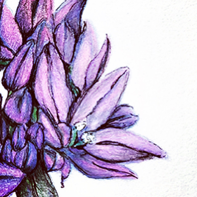 Write on, CPR -- consider your lived experience thus far; can you trace the pivot points that have been most formative? write on the margins of your past reality, what would be different now? let your imagination unfurl, spread out, change shape &amp; #submit !