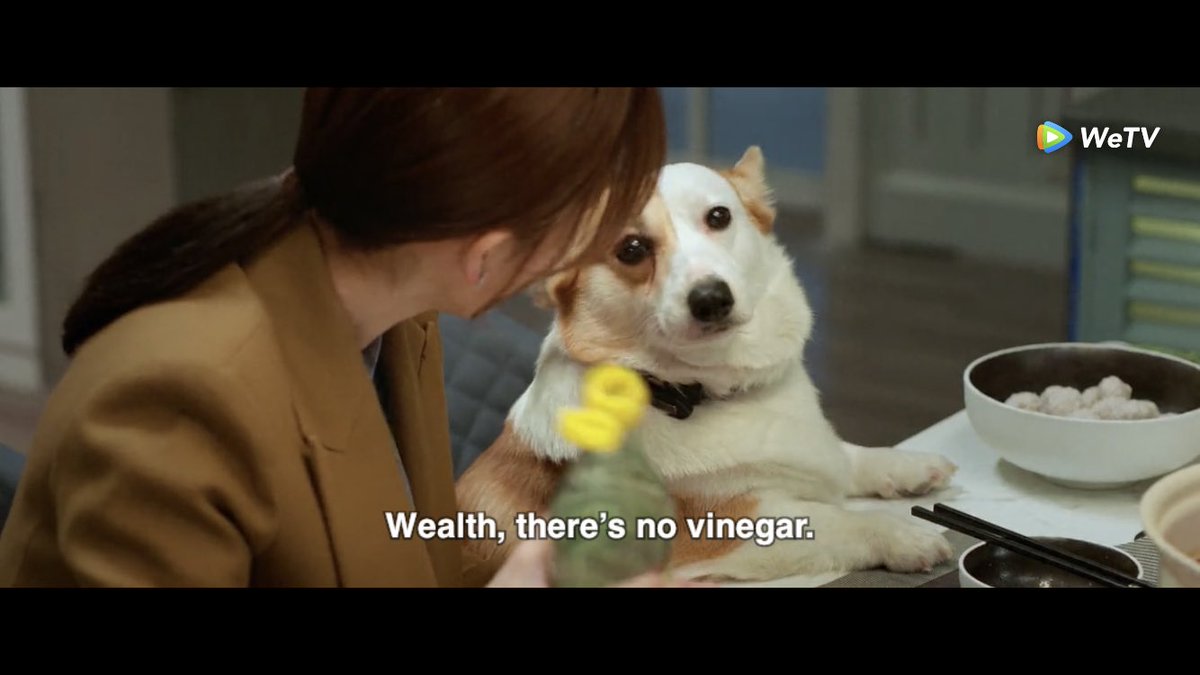 wancai(the corgi) is such a good actress   #LoveIsSweet