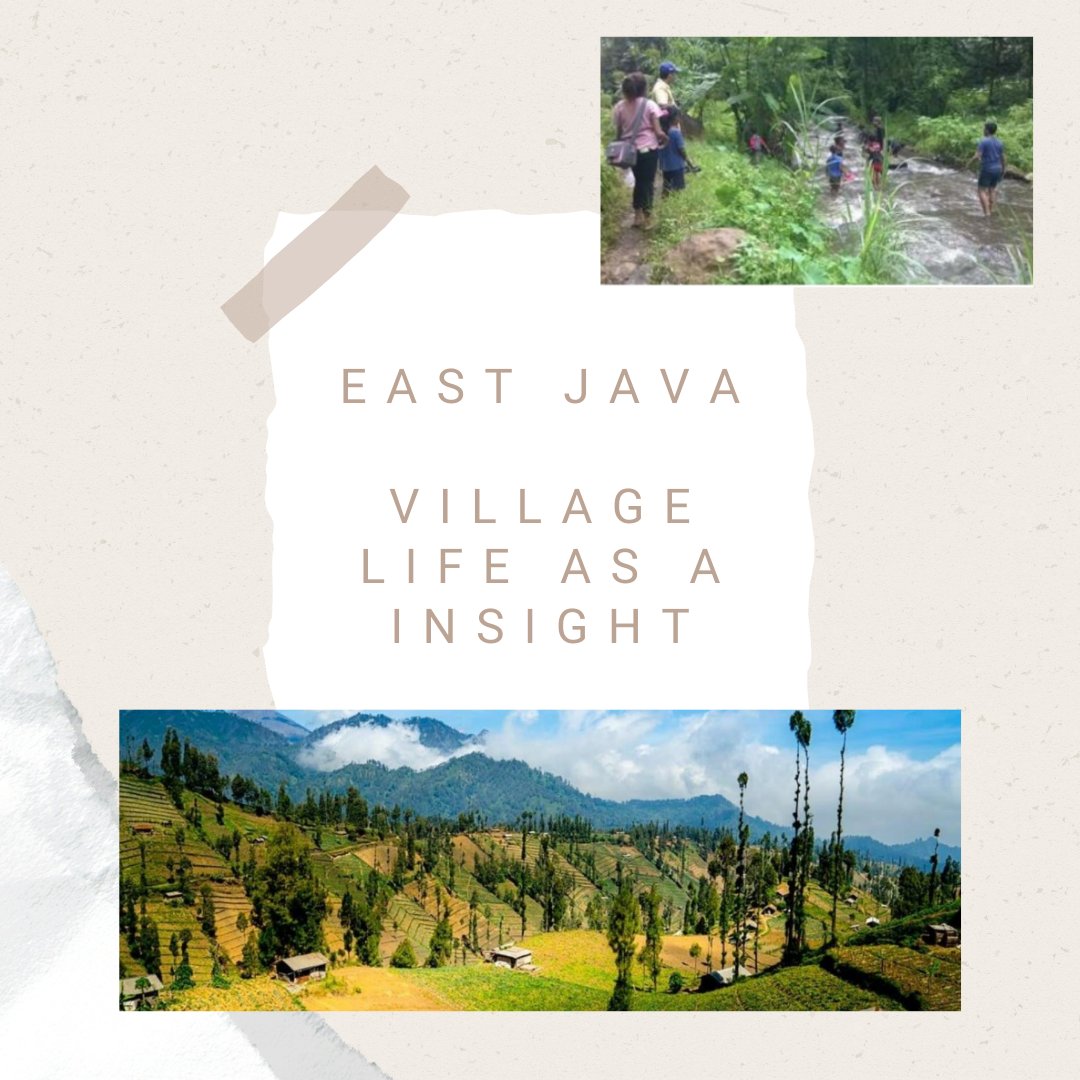 Michell35009373's tweet photo. There also some village in East Java that have unique culture art. One of them is Eco-Print. It's really unique how to use a leave to decorate your fabric https://t.co/96PPujD42h