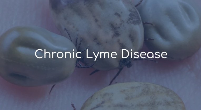 prismlightpod's tweet photo. They treat the body, mind, and spirit, to treat each patient on an individual level with their personalized medical protocols. 
They say that a healthy immune system is the cornerstone of well-being! And also a healthy body does not suffer from the disease. https://t.co/JtEnZXBtDb