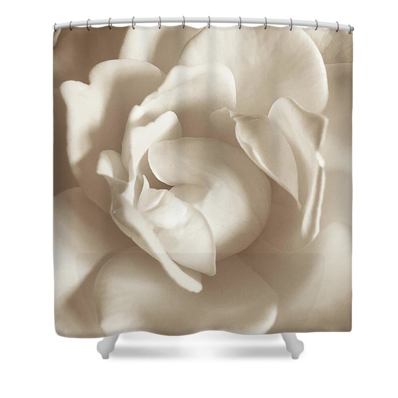 heather_morrill's tweet photo. Excited to share this item from my #etsy shop: White Rose Shower Curtain, Bathroom, Shower, Decor, Bath Accessories, Shower Curtain, Floral, Flower, Home Decor, Cream, Sepia, Unique #floral #countryfarmhouse #country #rose #showercurtain #shower #bathroom https://t.co/k7lGADpIyZ https://t.co/PBhvhCXTOZ