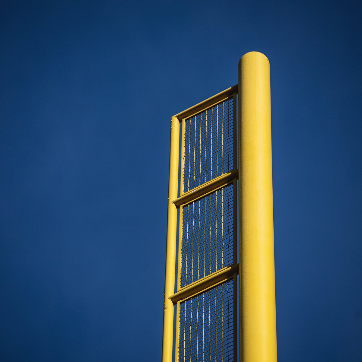 San Diego Padres (@Padres) on Twitter photo 2020-11-22 00:40:30 Home sick. 💛 Home sick. 💛