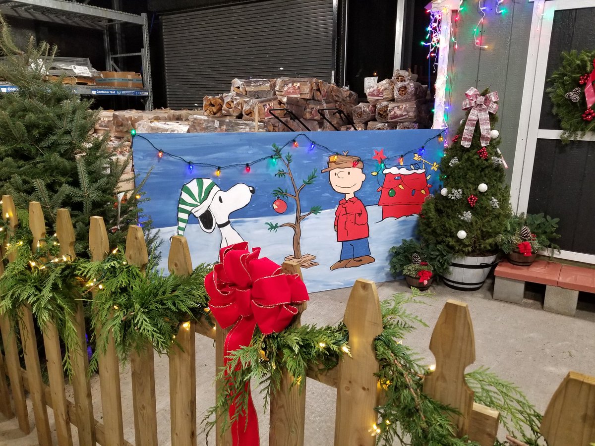LynnieB14's tweet photo. Its beginning to look alot like Christmas! #LOVEMYJOB@jennerbec72 @nh_carpenter @JasonArigoni @Noel18545207 @HopewellNursery https://t.co/gZD1HtKk03