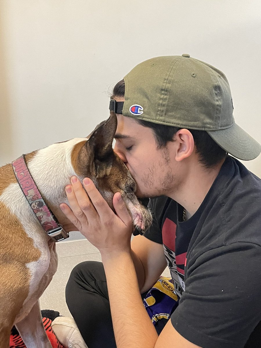 mamel_17's tweet photo. Today is bittersweet, because I had to say goodbye to you but I know that you’re playing with your pup now.Thank you Nina for allowing me to have another year and a half with your mom but I know you miss her like crazy &amp; now I do too.Take care of each other, see you both soon🤎🤍 https://t.co/BFi6aJ6R4a
