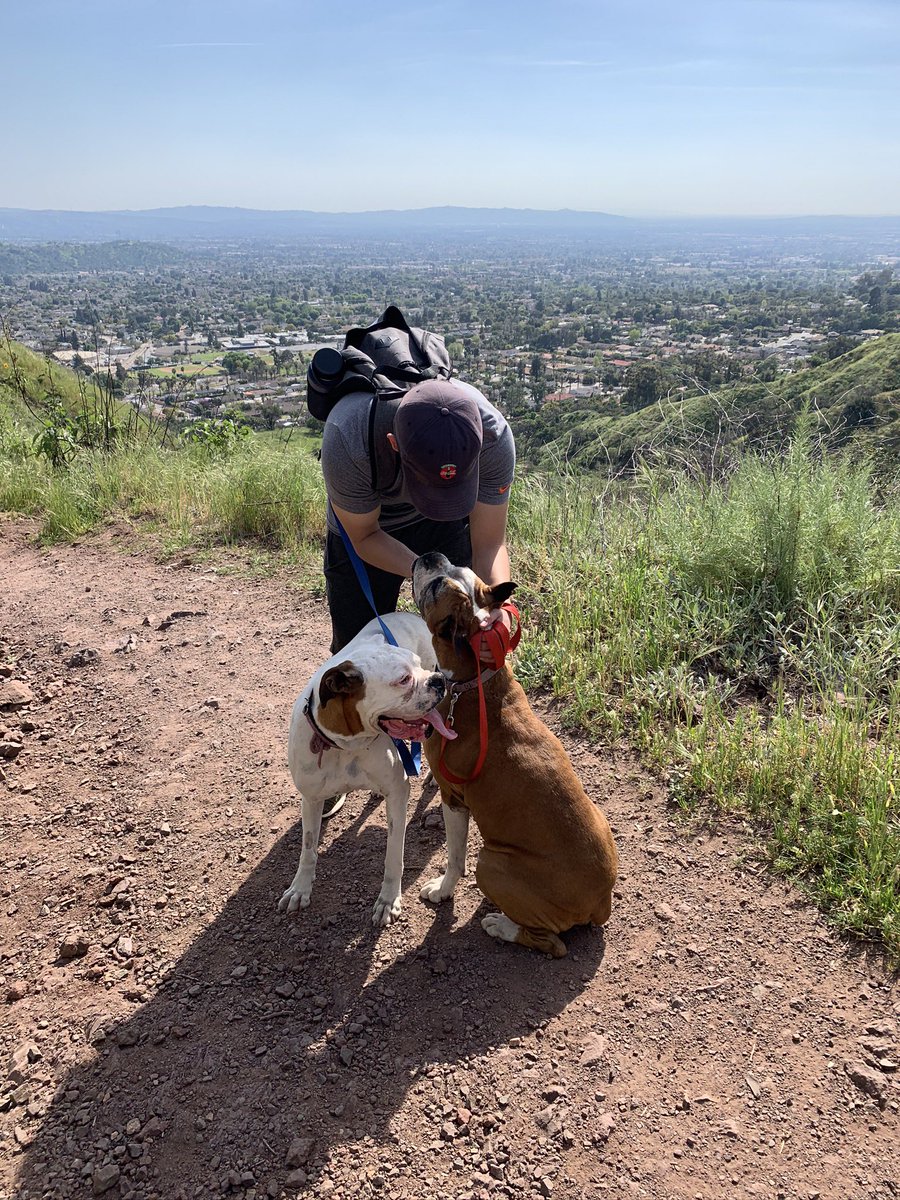 mamel_17's tweet photo. Today is bittersweet, because I had to say goodbye to you but I know that you’re playing with your pup now.Thank you Nina for allowing me to have another year and a half with your mom but I know you miss her like crazy &amp; now I do too.Take care of each other, see you both soon🤎🤍 https://t.co/BFi6aJ6R4a