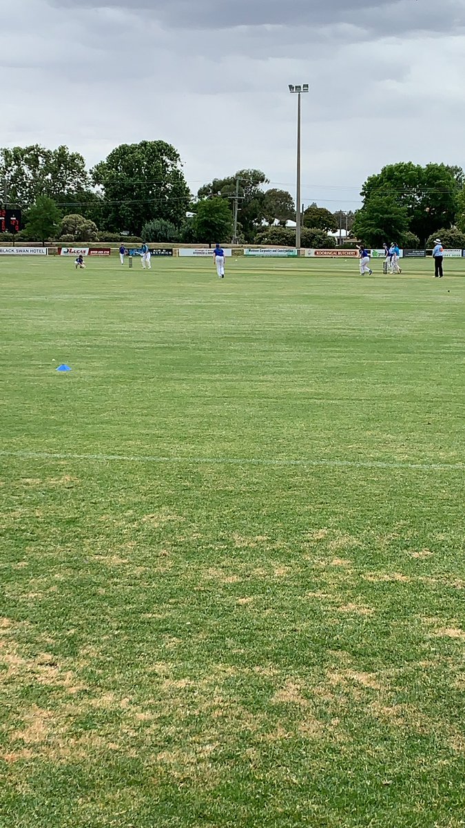 cathwood85's tweet photo. Wagga providing a stunning day for Blackwell Shield! On the bench with the legend Wazza! ❤️ @AlexBlackwell2 @RobbieMackinlay https://t.co/ULdXCexApy