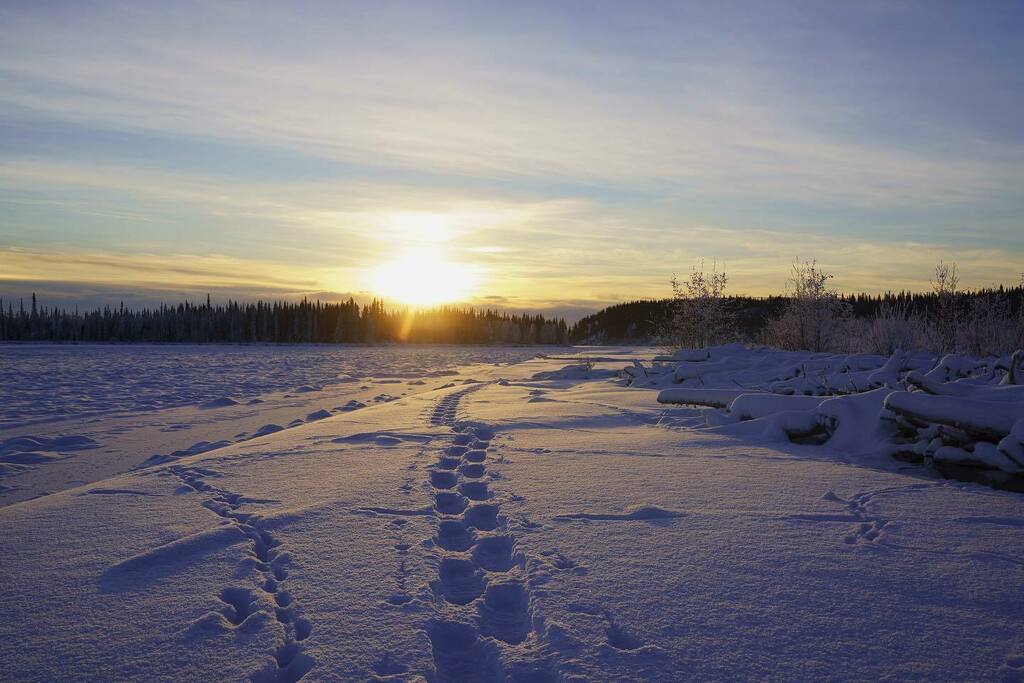 nelson_fbx_ak's tweet photo. The cold snap has left the ice safe enough to get out on the river #snowshoeing #winterfun #rei1440project #getoutside #lifebelowzero #fairbanksalaska #alaska #tananariver #sonyalpha #bealpha https://t.co/zhbHFOyX5I https://t.co/bC6NB36hcW