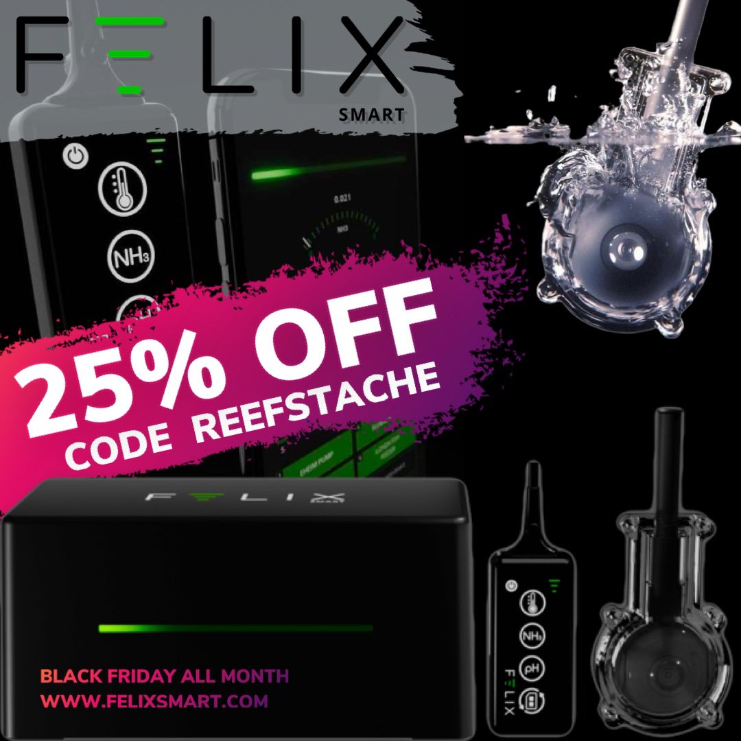ReefStash's tweet photo. ๐Hottest new aquarium controller, monitor and camera 25% off for BLACK Friday! โก๏ธGet it before theyโre gone! CODE: REEFSTACHE https://t.co/hRanssYfy4
.
.
.
#felixsmart #aquariumcontroller #felixcamera #felix360camera #felixmonitor #reefstache #felixdiscountcode https://t.co/VSffSGmYHa