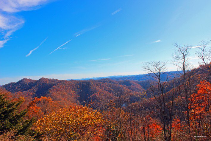 BluegrassScenes's tweet photo. November in Pikeville, Kentucky, by @KyWyldKitty https://t.co/fENkMDt3Bb