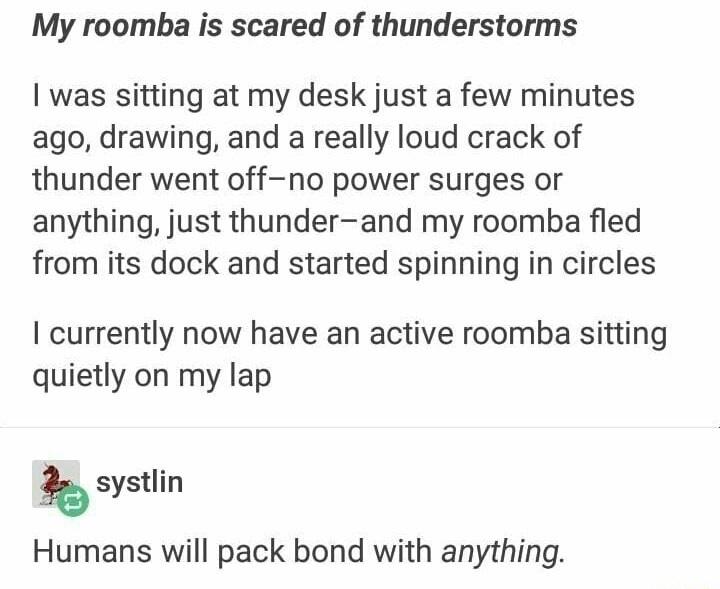 Scifi for the last twenty-odd years: "Do not let robots in your house what if they want to kill all the humans?!"Actual house-robot: