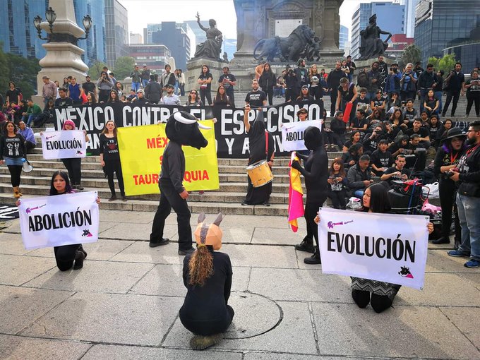 prensaanimal4's tweet photo. #Muuk Wakax
@MuukW realiza #MarchaContraElEspecismoMX
#LiberaATusEsclavos #ContraElEspecismo #Caballos #Toros
Especismo es la discriminación a otros animales por motivos de especie
#consulta https://t.co/TWDrylqy5R https://t.co/4OaJP8liq8