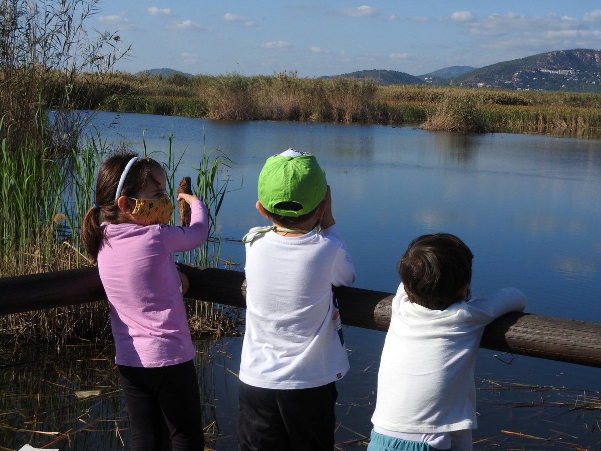 Numenius_tours's tweet photo. Seguimos ofreciendo salidas de #birdingfamiliar para disfrutar de la #naturaleza y las #aves.
Con ratios ajustadas a las permitidas para las actividades de turismo de naturaleza y con los protocolos estandarizados y acordados con @CvGuias https://t.co/wSfsceP2ed