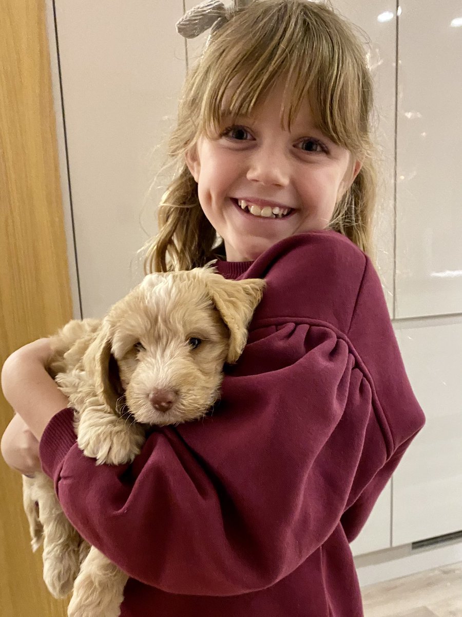 Christine Armstrong tweet media