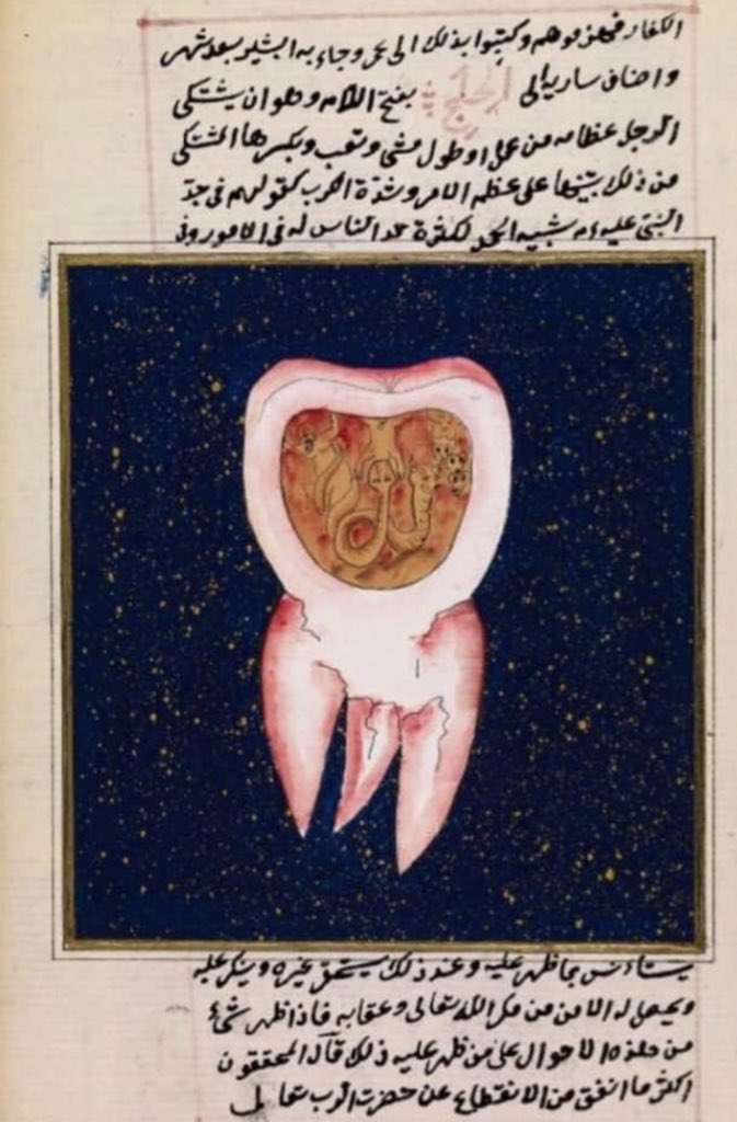 tasvirsanatlari's tweet photo. 22 KASIM Dünya Diş Hekimleri Günü kutlu olsun. 🦷 🌺 https://t.co/kK7kAZ0X2K