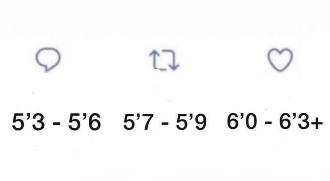 notaych's tweet image. How tall are y'all?