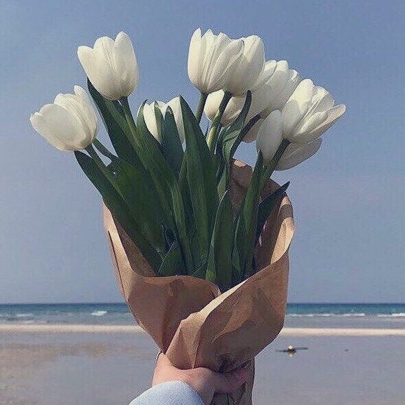 ➖

*.:･.｡**.:･.｡**.:･.｡**.:･.｡**.:･.｡**. :･.｡**
#SEVENTEEN #세븐틴 #セブチ #HOSHI #호시 #ホシ #KwonSoonyoung #권순영 #クォンスニョン #権順栄
*.:･.｡**.:･.｡**.:･.｡**.:･.｡**.:･.｡**. :･.｡**

〈📷💎： <a href="/My13boys_0526/">나의 열셋 소년</a> 님〉